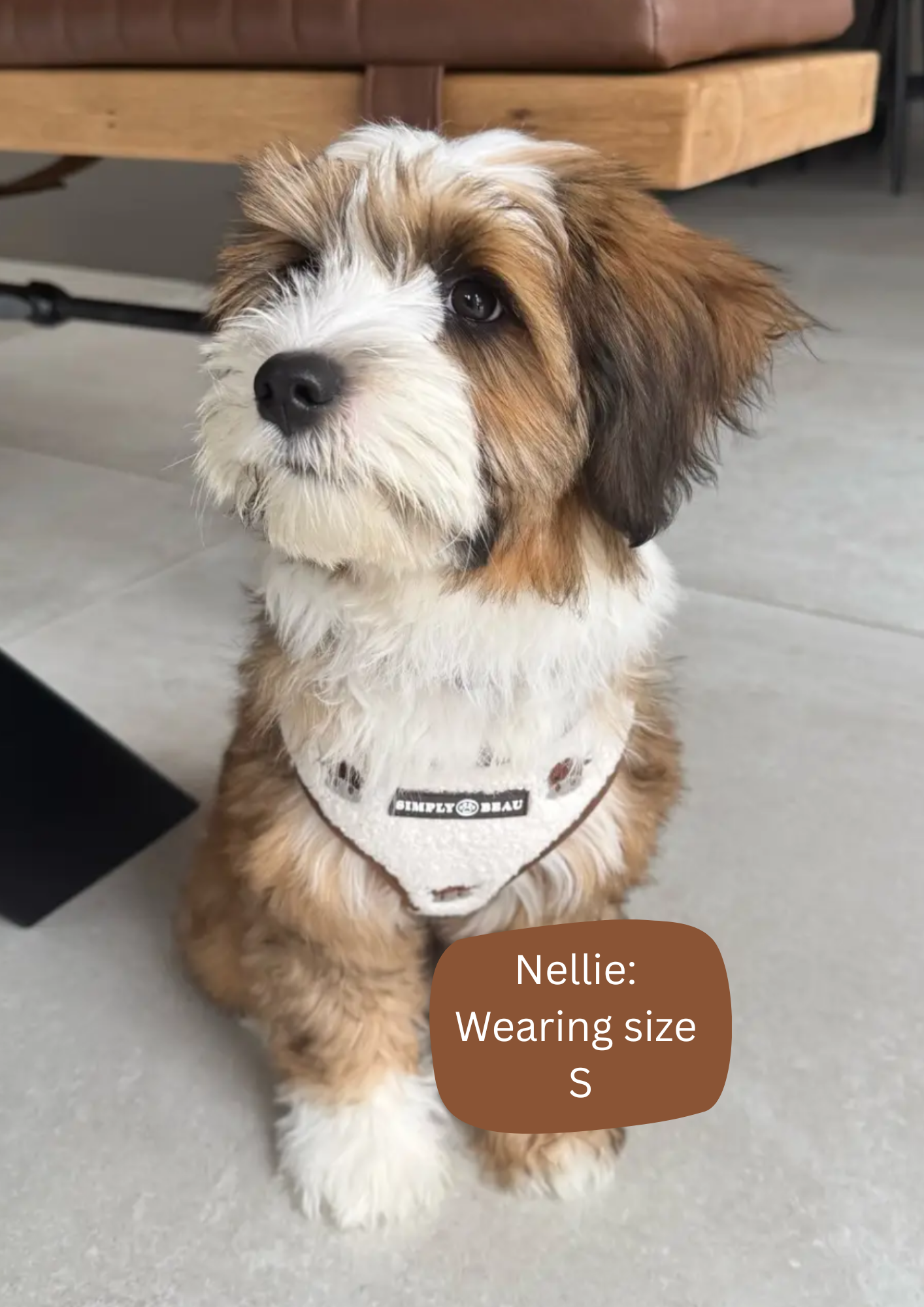 Coco Cow Sherpa Mega Bundle: Harness, Collar, Lead & Poop Bag Holder