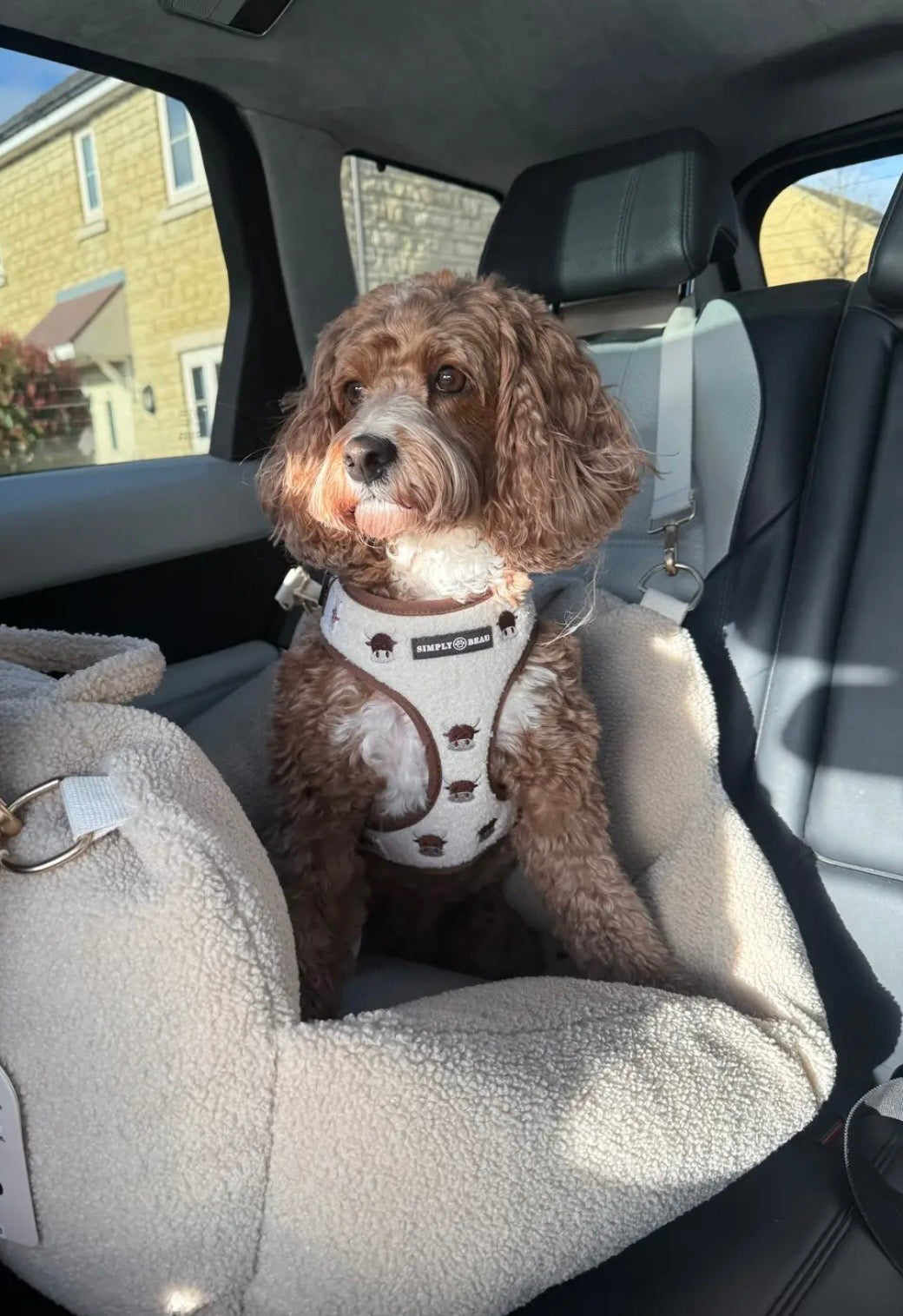 Coco Cow Harness Bundle: Harness, Lead and Poop Bag Holder