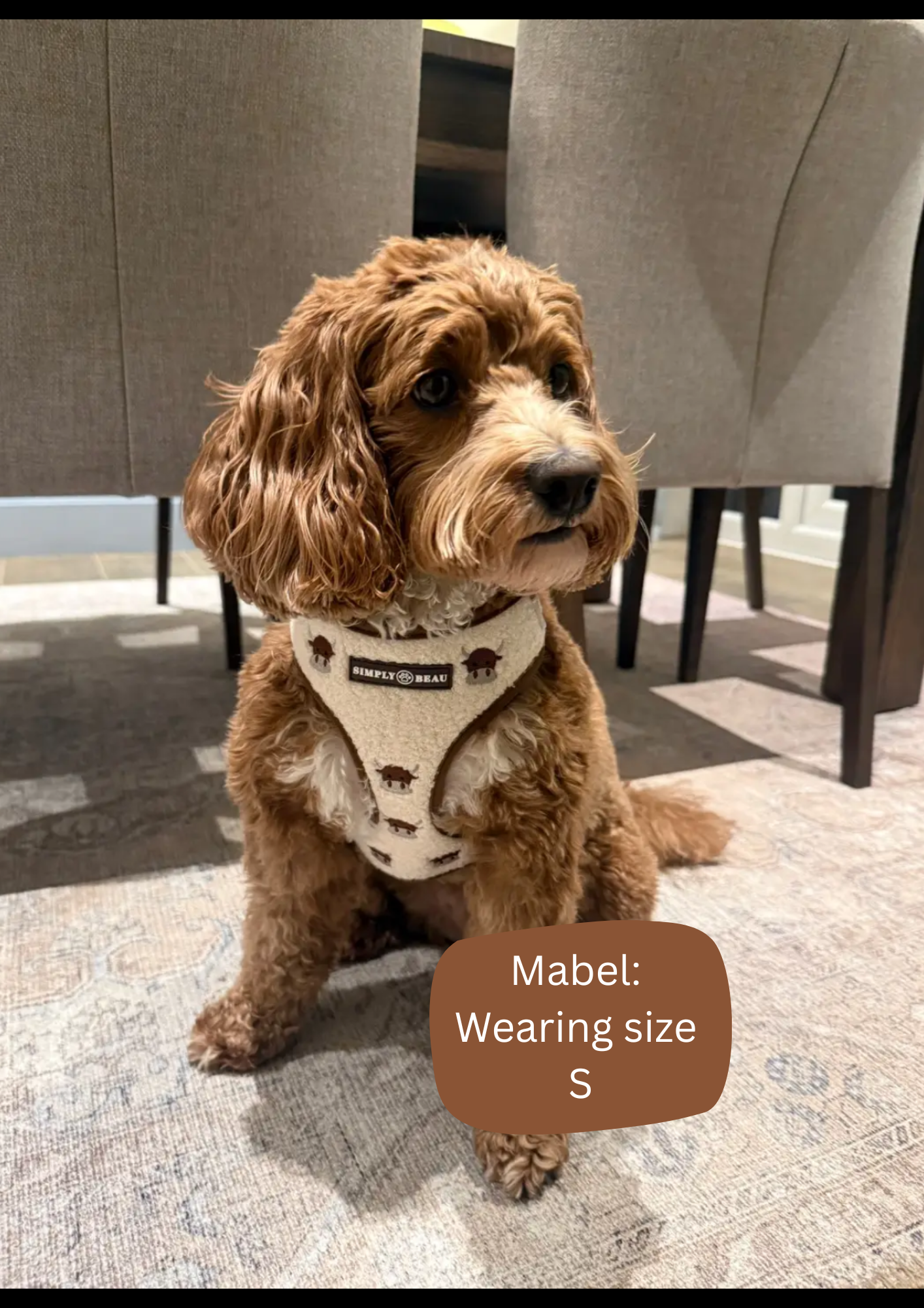 Coco Cow Harness Bundle: Harness, Lead and Poop Bag Holder