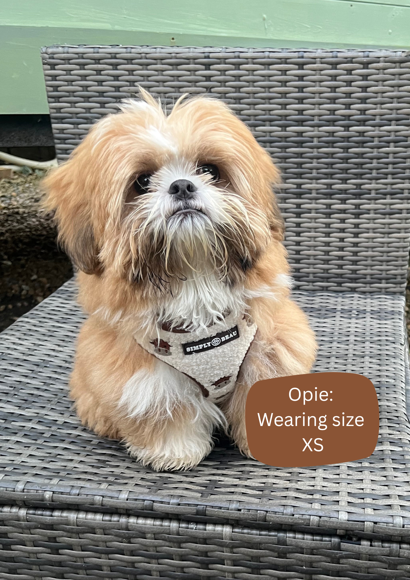 Coco Cow Harness Bundle: Harness, Lead and Poop Bag Holder