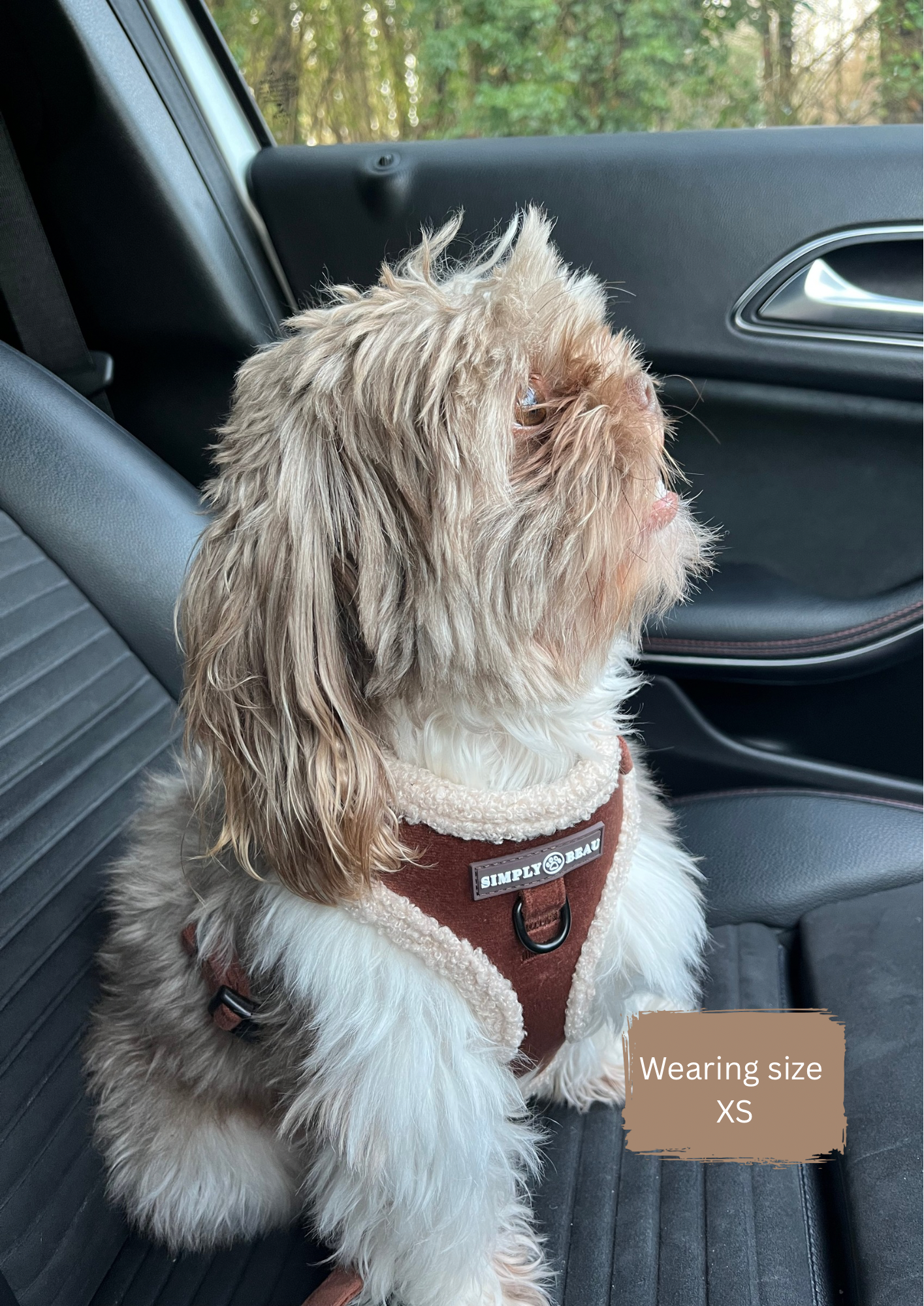 Aviator Adventure Mega Bundle: Harness, Collar, Lead & Poop Bag Holder