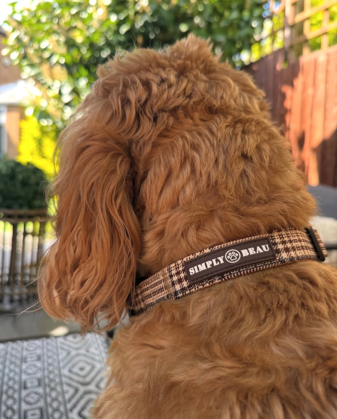 Pawsh Plaid Collar