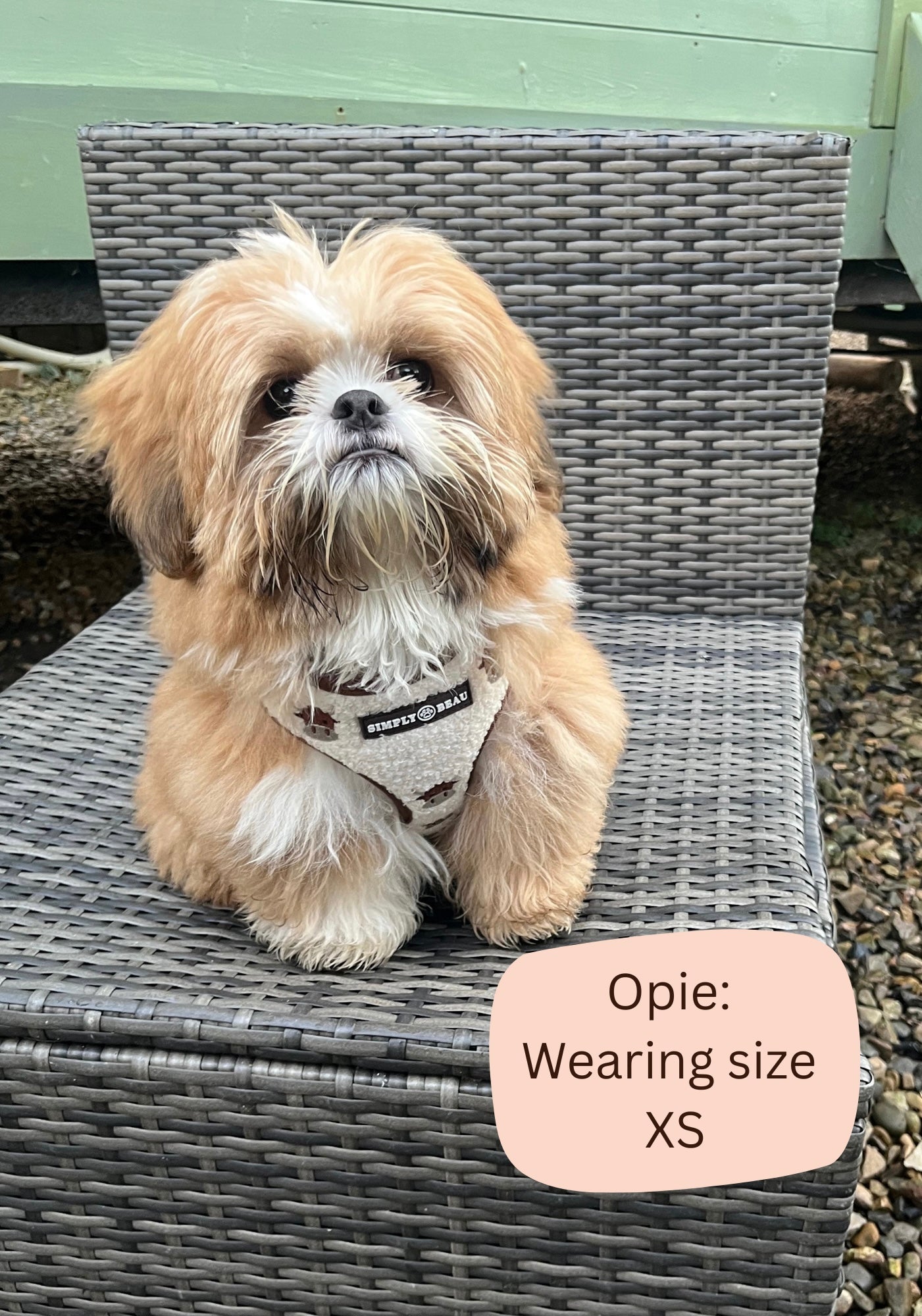 Coco Cow Sherpa Mega Bundle: Harness, Collar, Lead & Poop Bag Holder