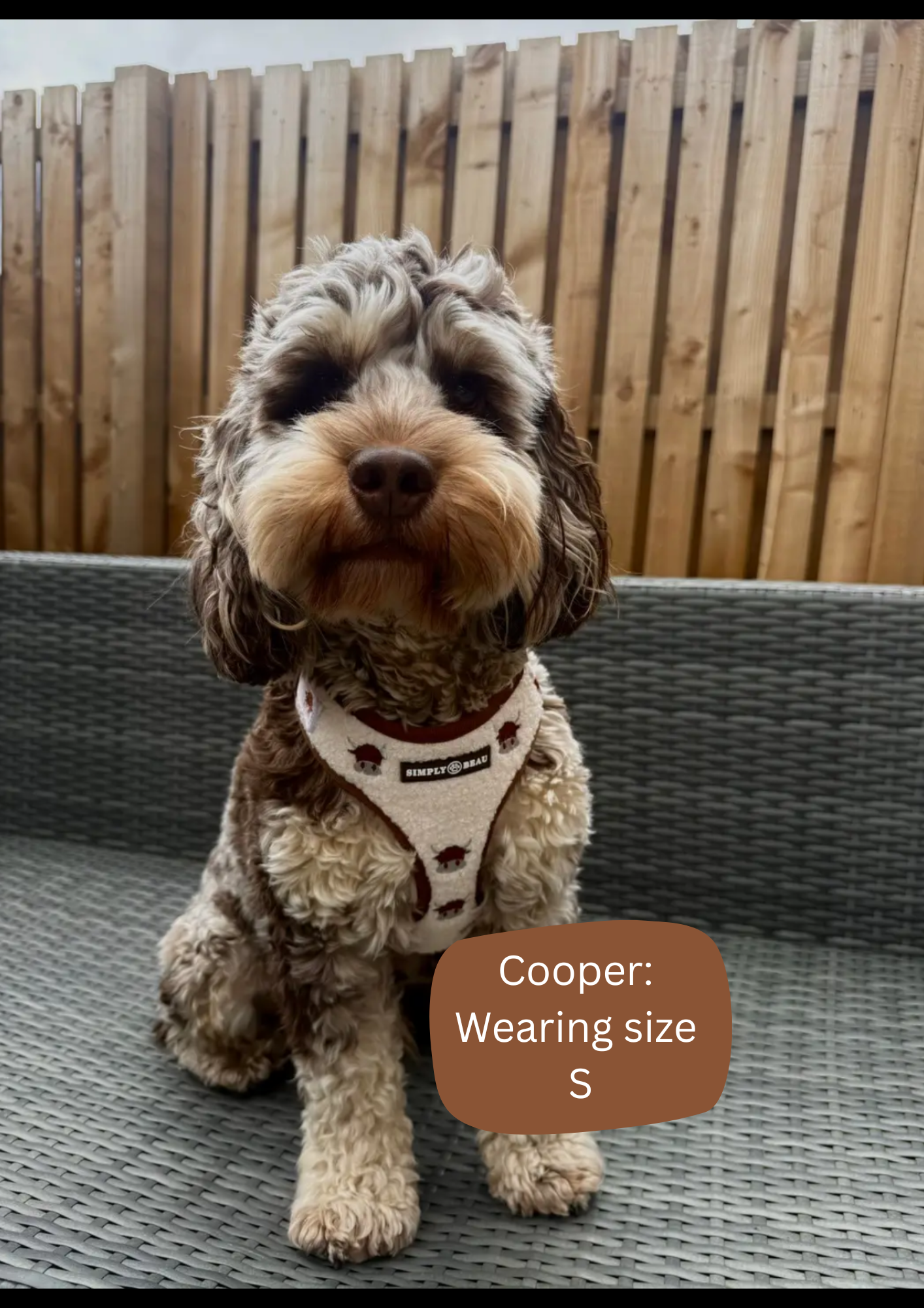Coco Cow Harness Bundle: Harness, Lead and Poop Bag Holder