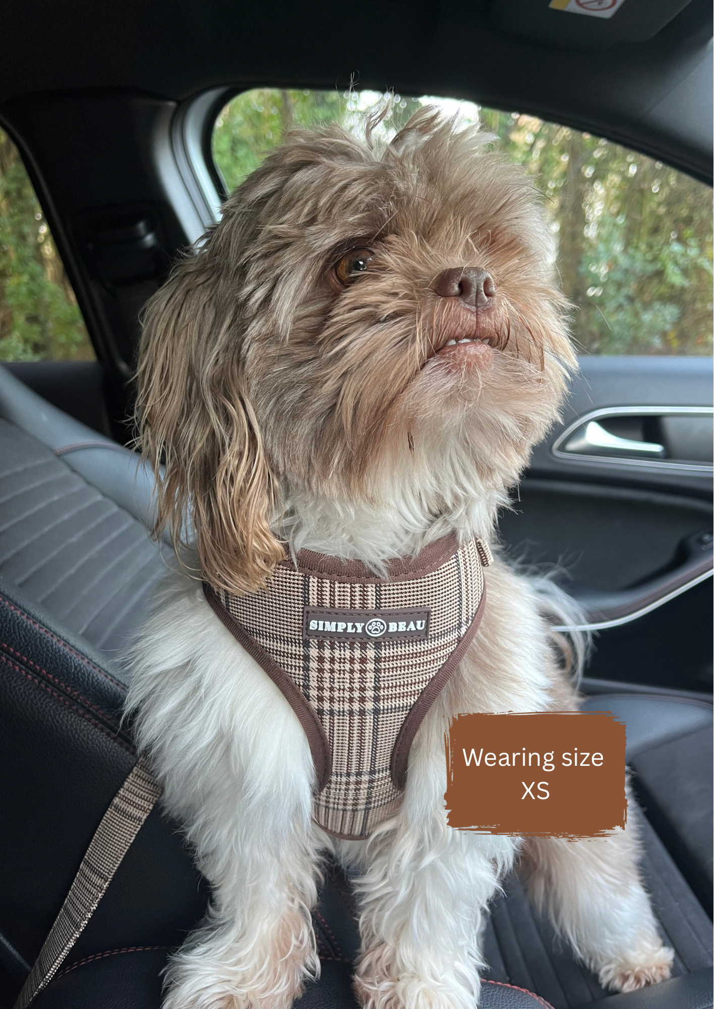 Pawsh Plaid Mega Bundle: Harness, Collar, Lead & Poop Bag Holder