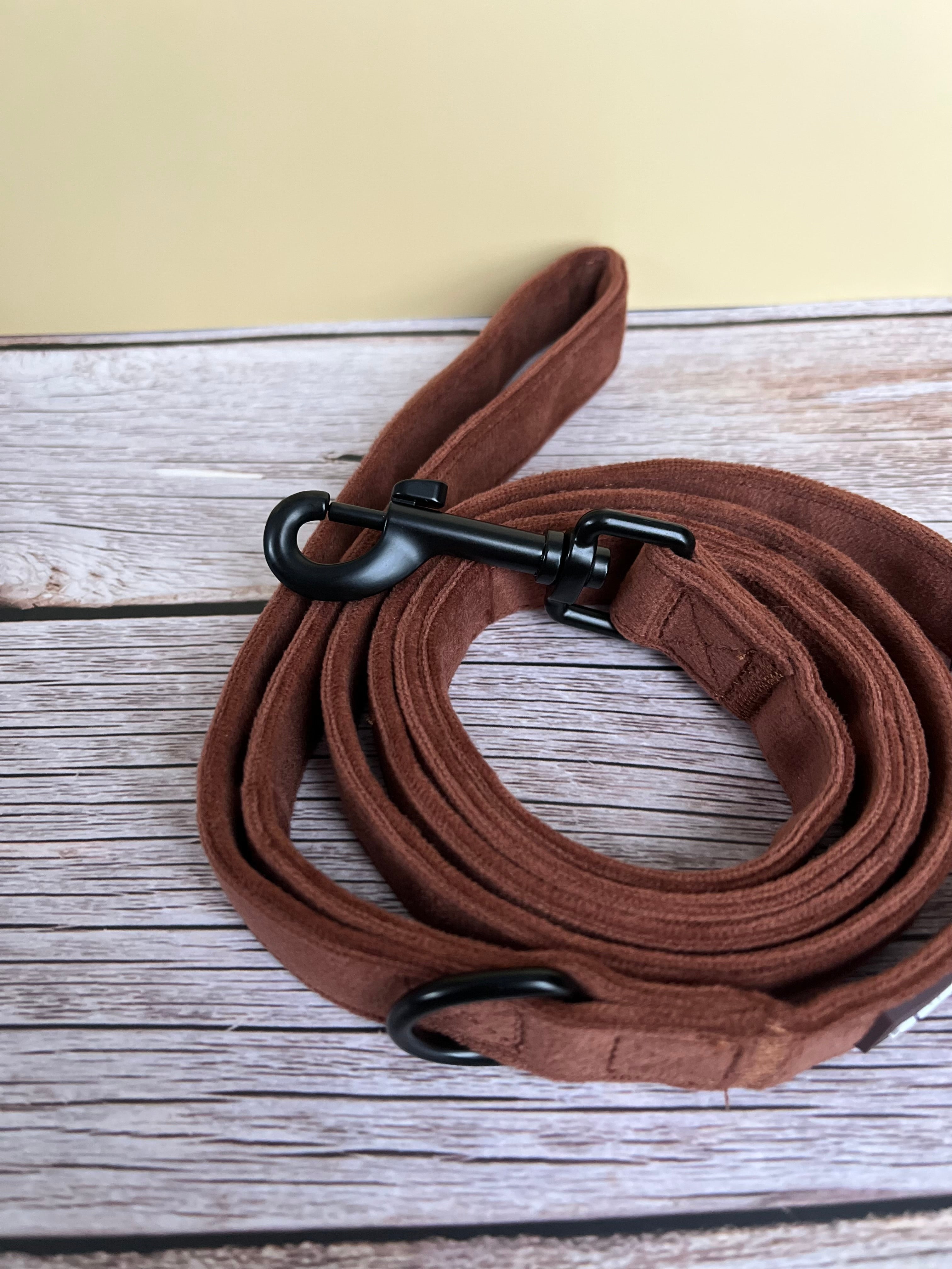 Aviator Adventure Lead